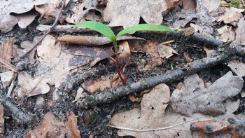 Therapie Assen Therapie Assen