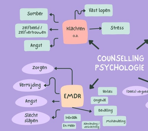 Counselling Psycholoog Dronten