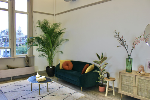 Psychologist Rotterdam Psychologist Rotterdam