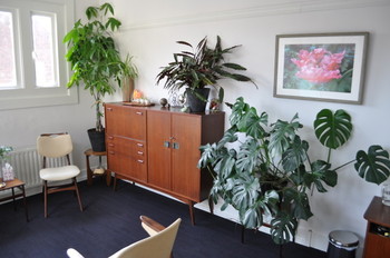 Psycholoog Arnhem Psycholoog Arnhem