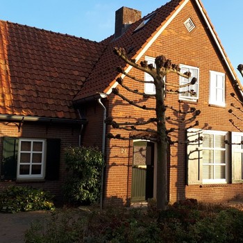 Psycholoog Elst-Veenendaal