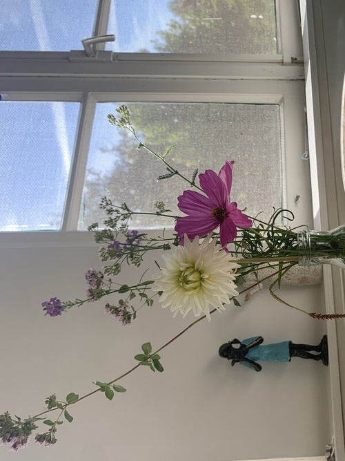 Therapie Driebergen Therapie Driebergen