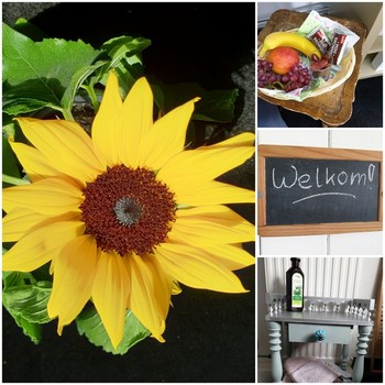 Therapie Poortvliet - Tholen Therapie Poortvliet - Tholen