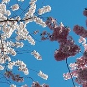 Relatietherapie Eindhoven - Relatietherapeut